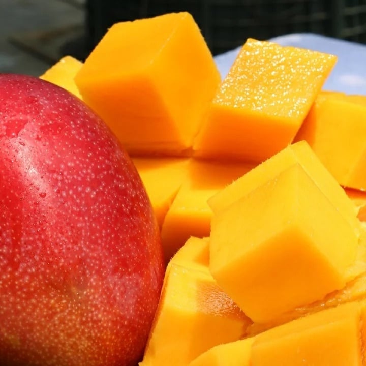 太陽のタマゴ　完熟マンゴー　宮崎産　農協品　3Ｌ3玉　赤秀　市場直送　限定　安い